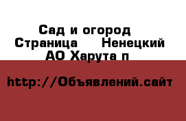  Сад и огород - Страница 3 . Ненецкий АО,Харута п.